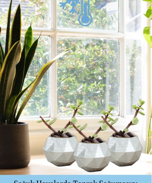 Mini Çiçek Saksı Küçük Sukulent Gümüş Kaktüs Saksısı 3lü Set Mini Poly Silindir Model